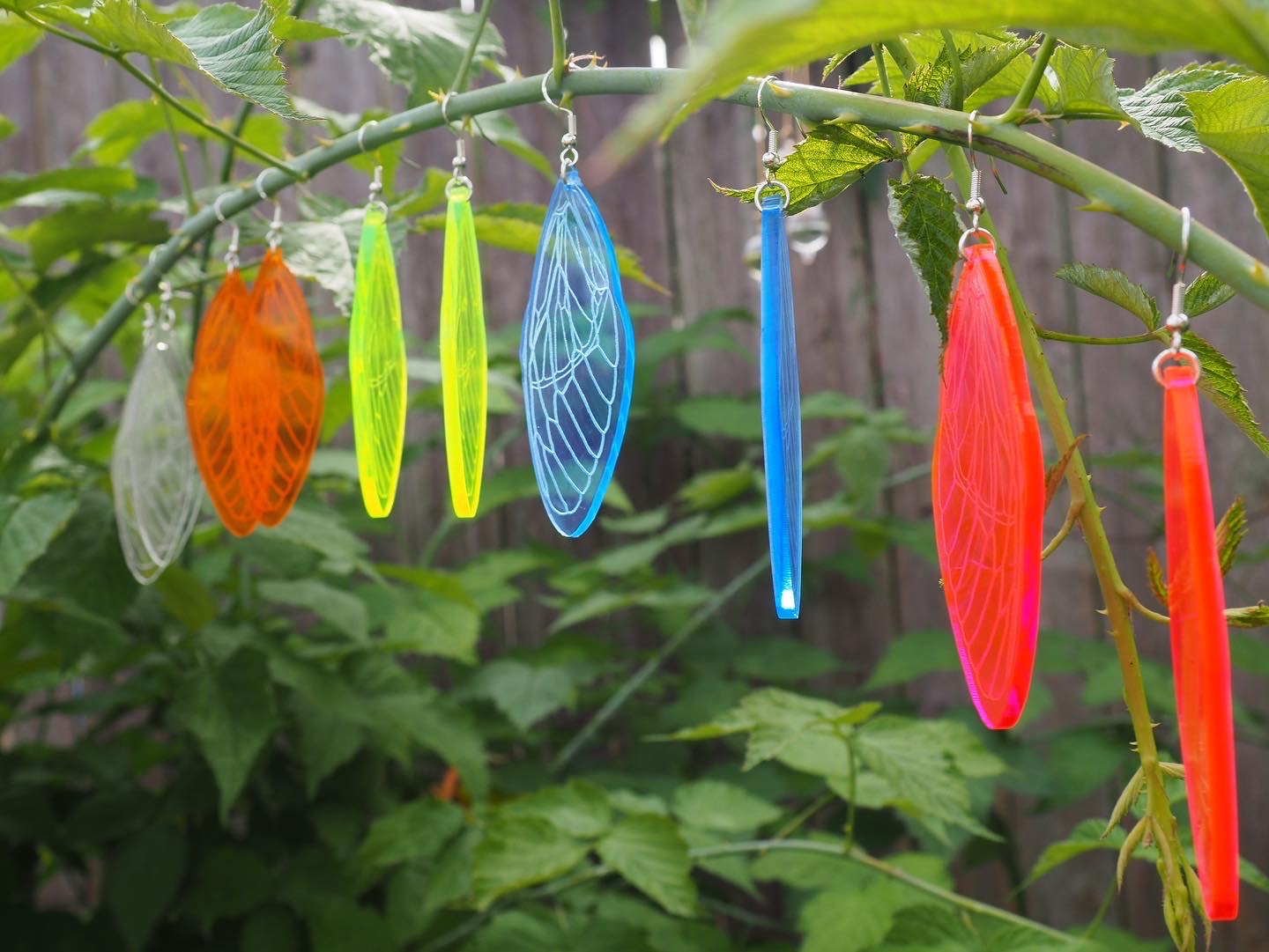 Cicada Wing Earrings