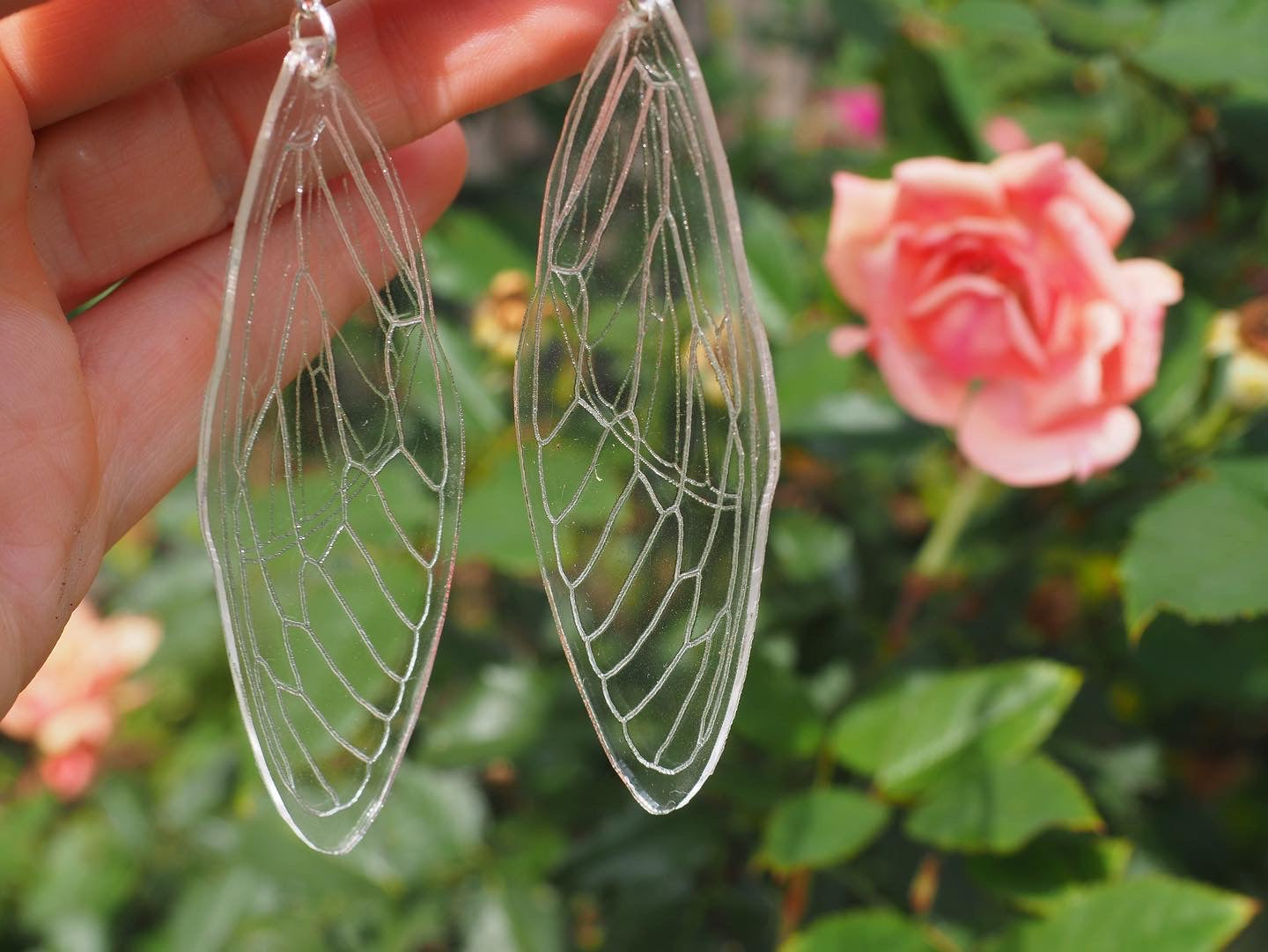 Delicate Cicada Wings