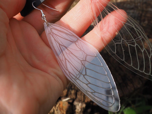 Delicate Cicada Wings