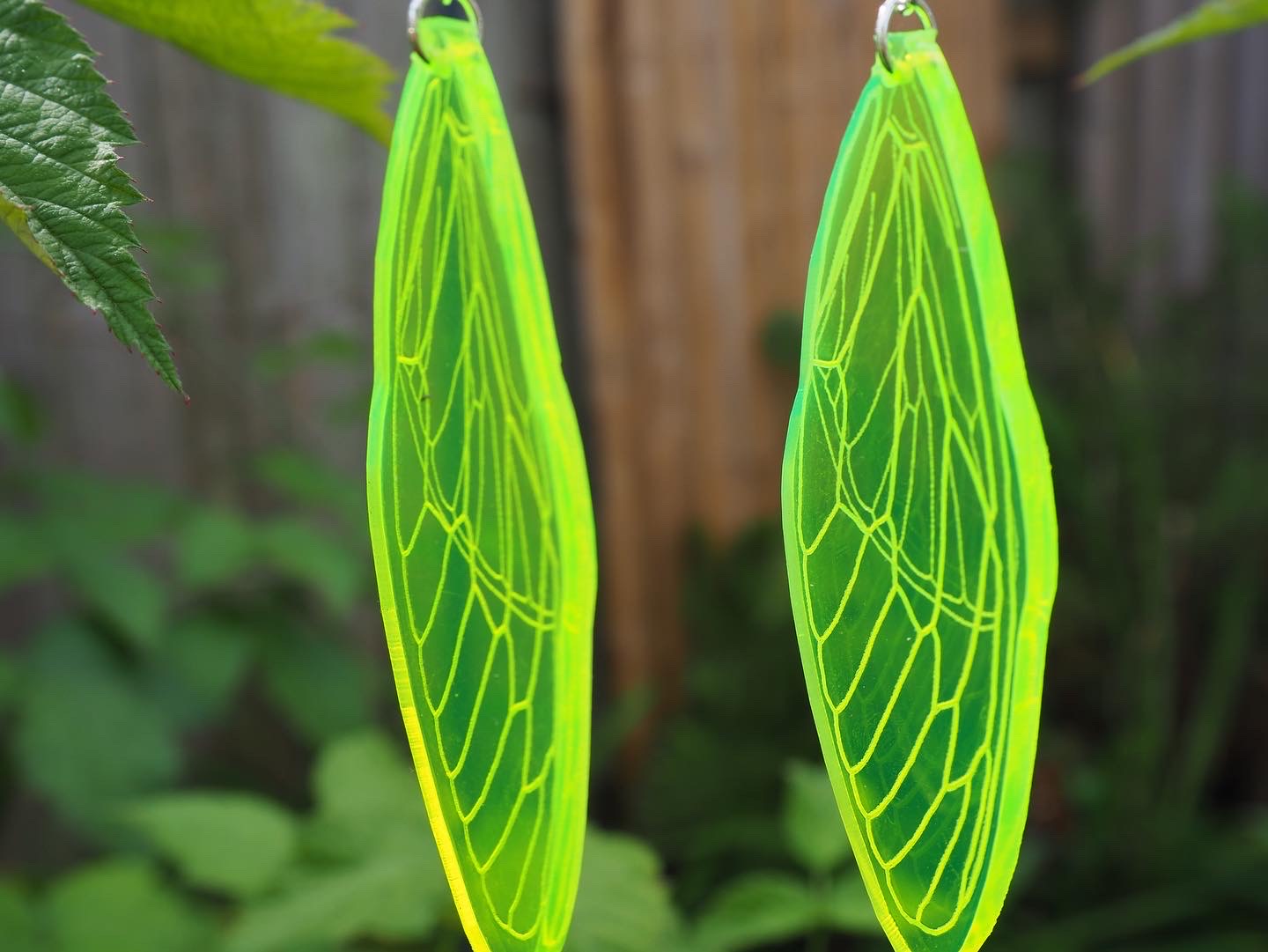 Cicada Wing Earrings